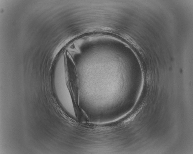 X0000076350877200610161756