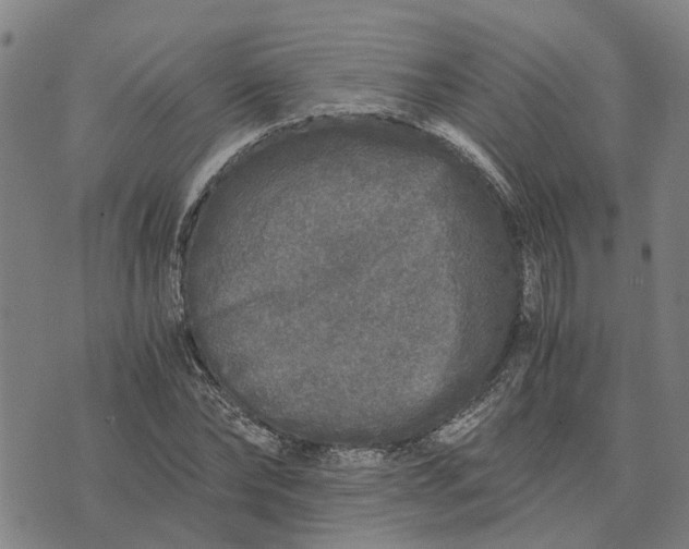 X0000076350878200610161756