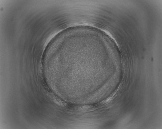 X0000076350879200610161756