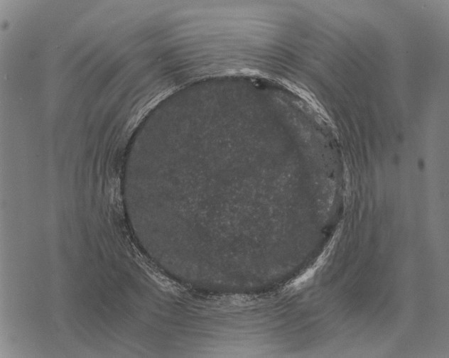 X0000076350881200610161756