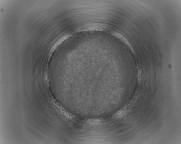 X0000076350882200610161756