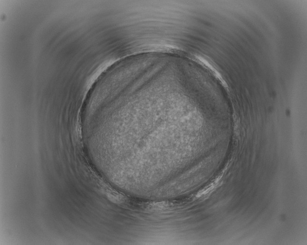 X0000076350883200610161756