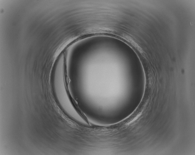 X0000076350885200610161756