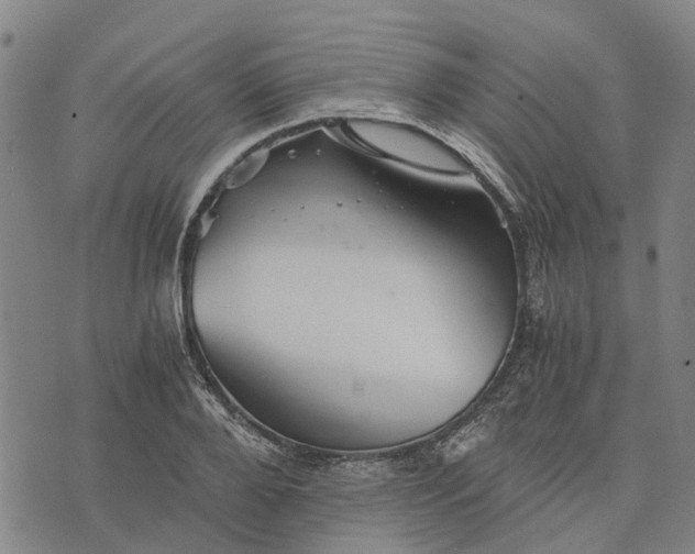 X0000076350888200610161756