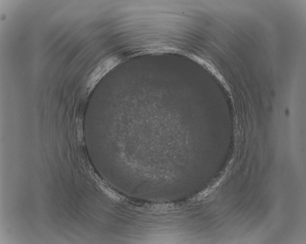 X0000076350889200610161756