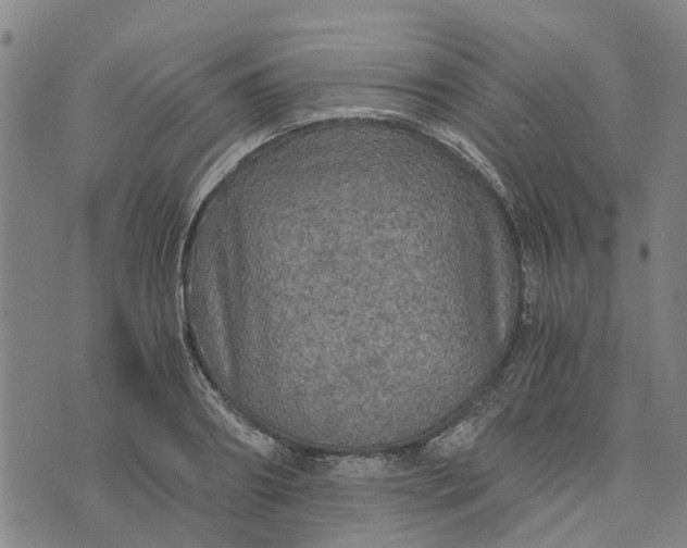 X0000076350890200610161756