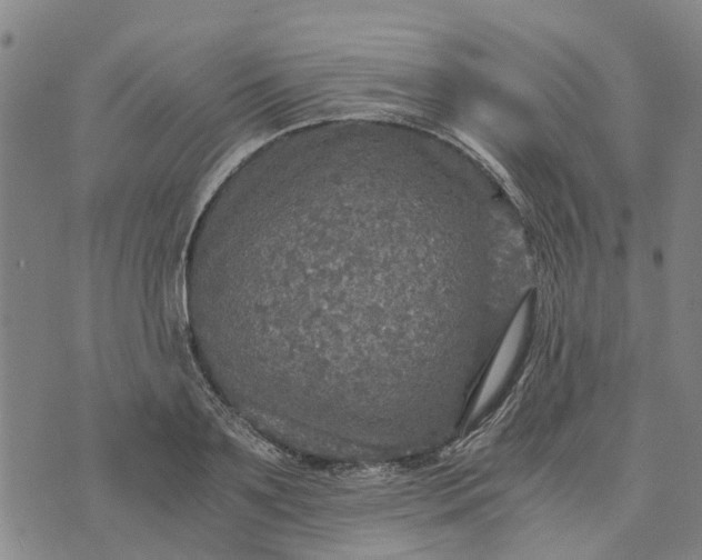 X0000076350891200610161756