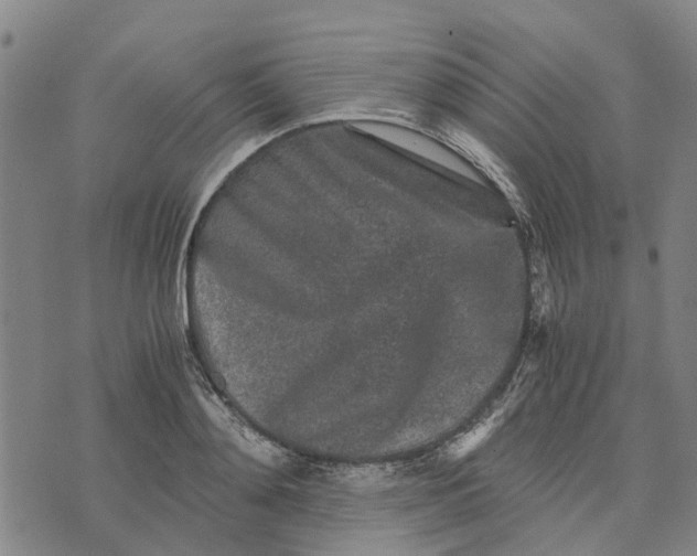 X0000076350892200610161756