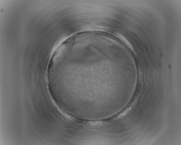 X0000076350893200610161756