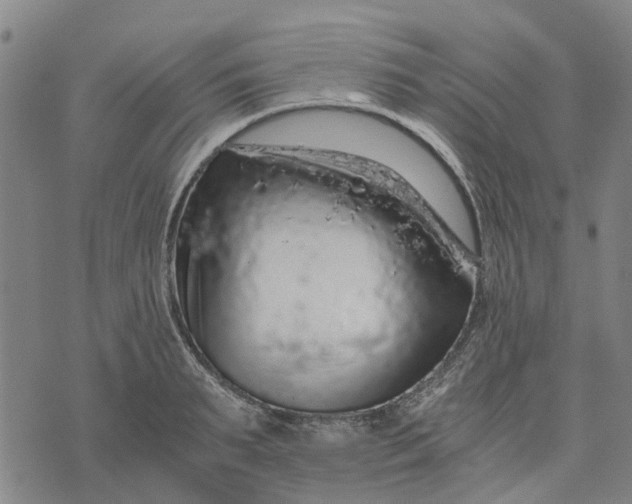 X0000076350895200610161756