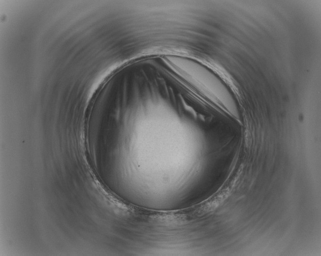 X0000076350896200610161756