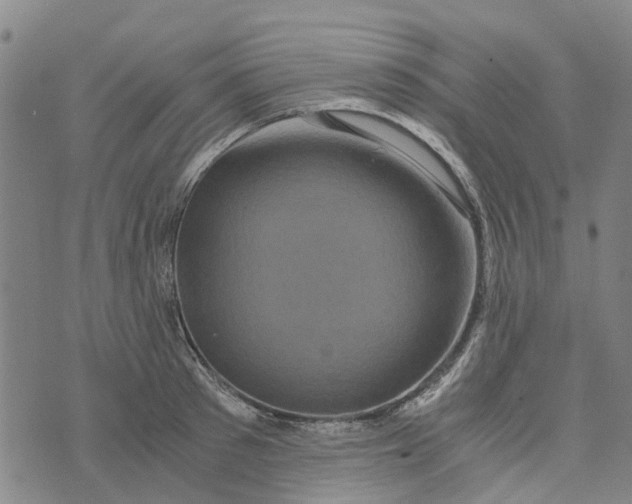 X0000076350897200610161756