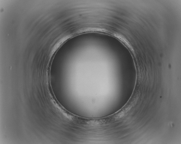 X0000076350898200610161756