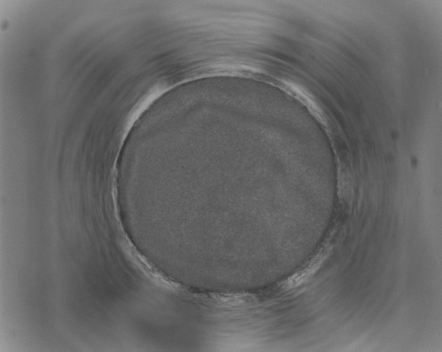 X0000076350899200610161756