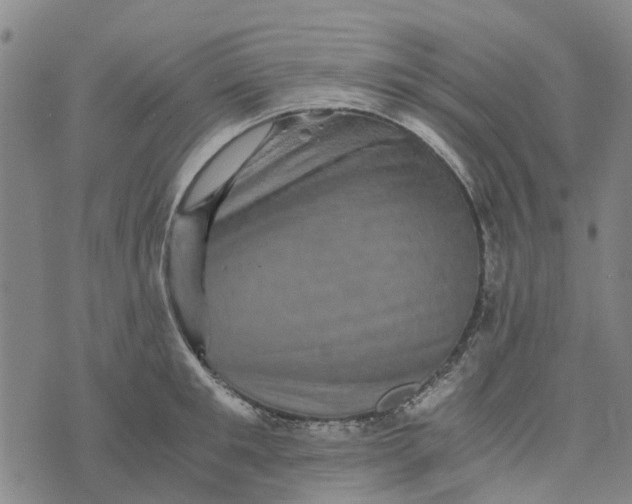 X0000076350901200610161756