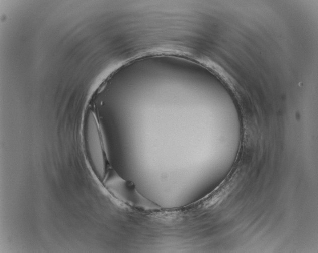 X0000076350902200610161756