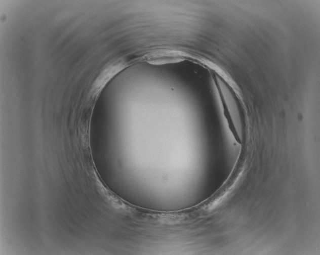 X0000076350905200610161756