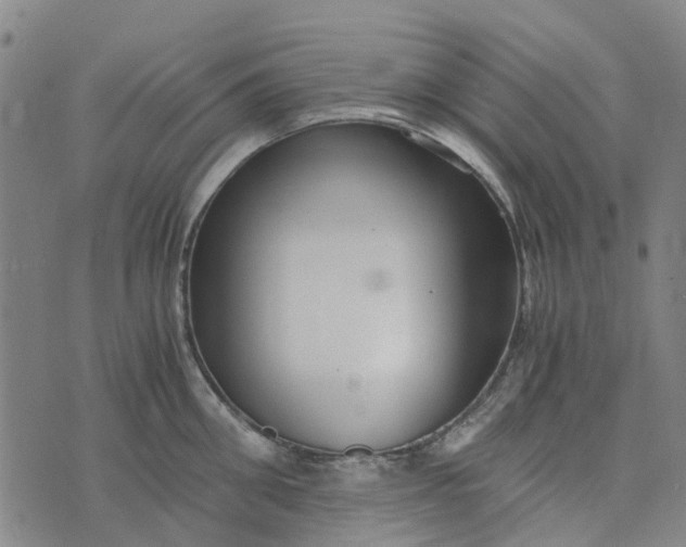 X0000076350906200610161756