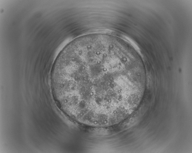 X0000076350907200610161756