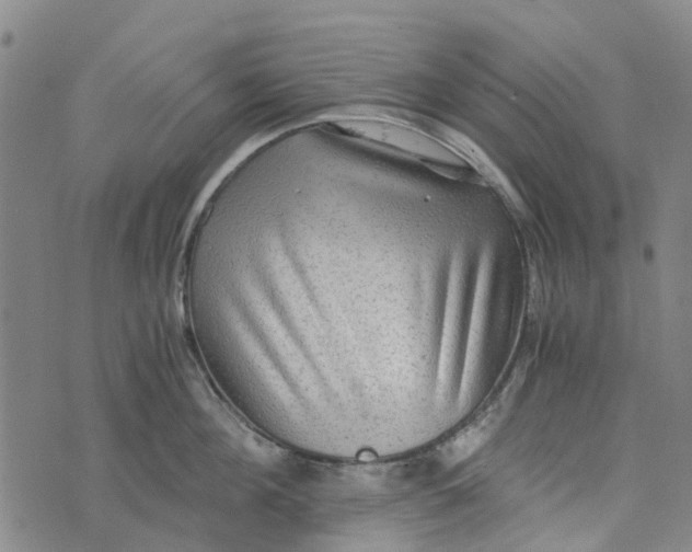 X0000076350908200610161756