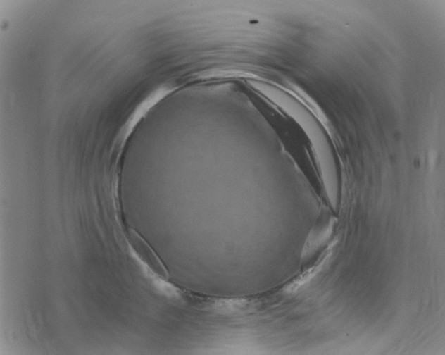 X0000076350909200610161756