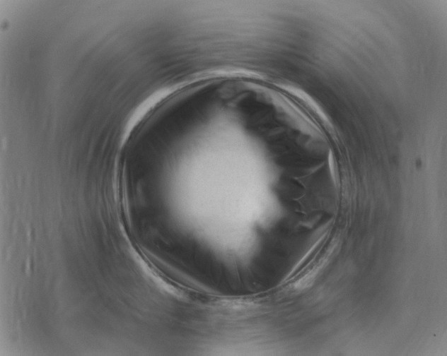 X0000076350910200610161756