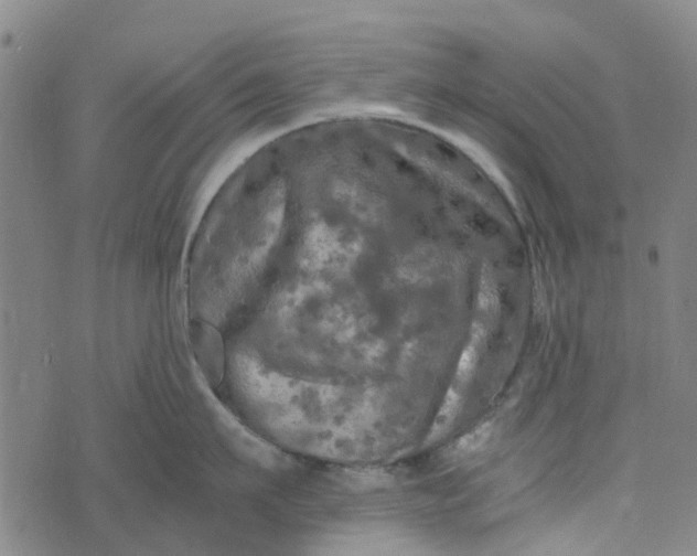 X0000076350911200610161756