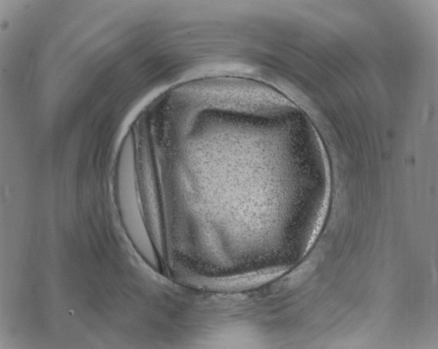 X0000076350912200610161756