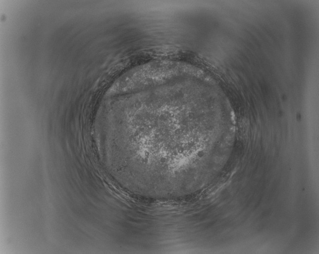 X0000076350913200610161755