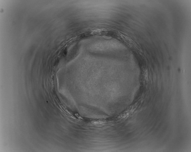 X0000076350914200610161755