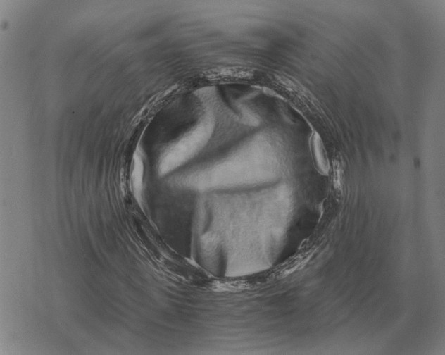 X0000076350915200610161755