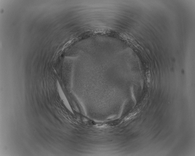 X0000076350916200610161755