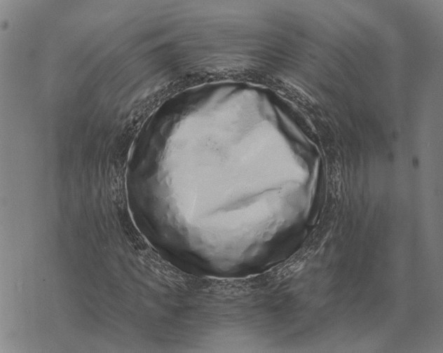 X0000076350917200610161755