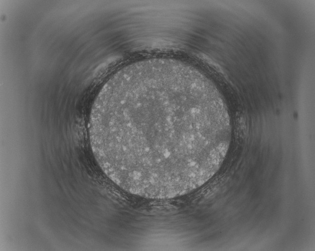 X0000076350918200610161755