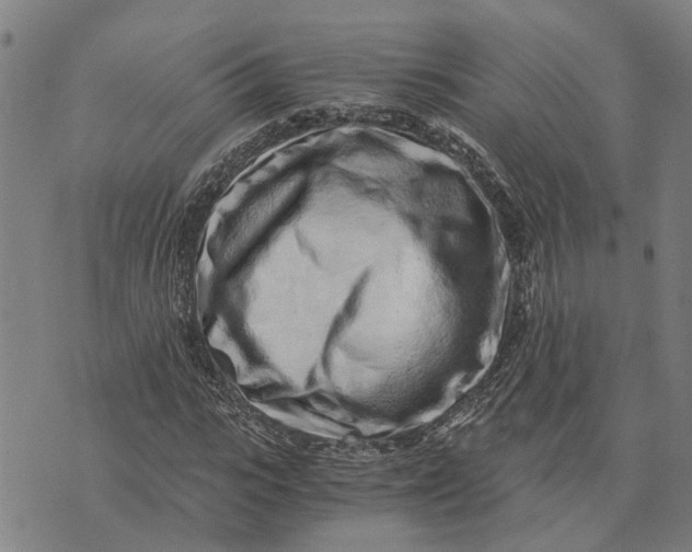 X0000076350919200610161755