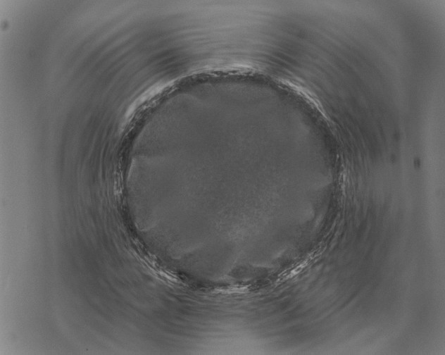 X0000076350920200610161755