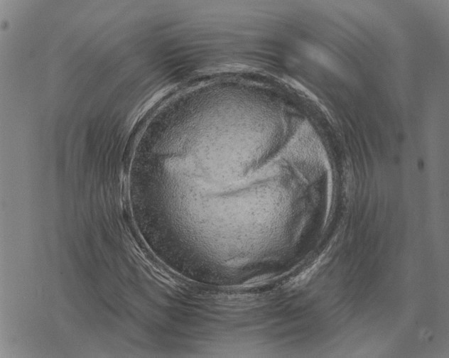 X0000076350921200610161755