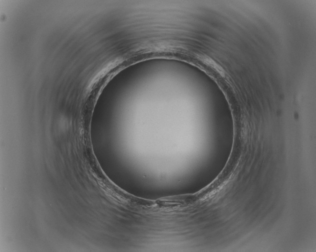 X0000076350922200610161755