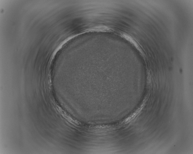 X0000076350923200610161755