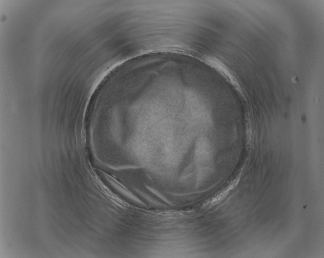 X0000076350924200610161755