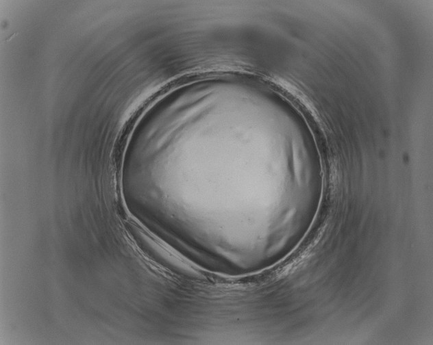 X0000076350925200610161755