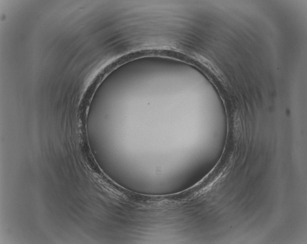 X0000076350926200610161755