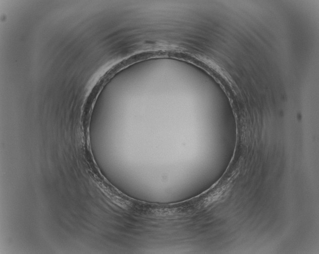 X0000076350927200610161755