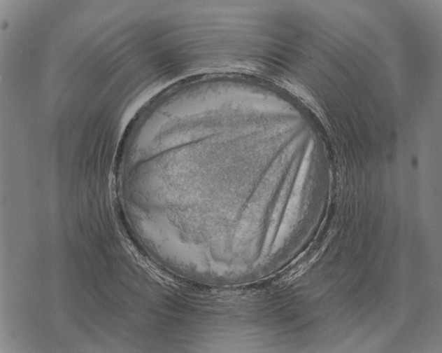 X0000076350928200610161755