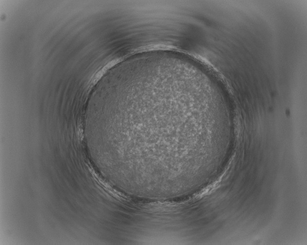 X0000076350929200610161755