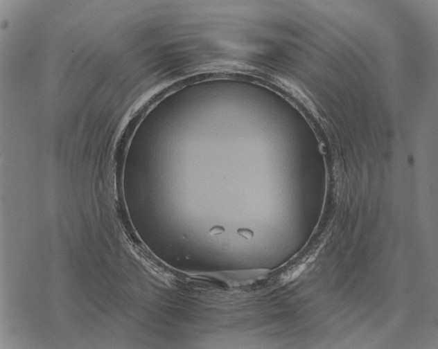 X0000076350931200610161755