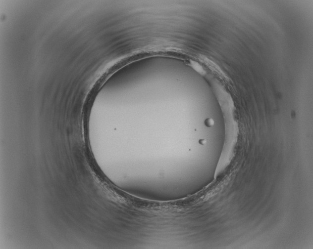 X0000076350934200610161755