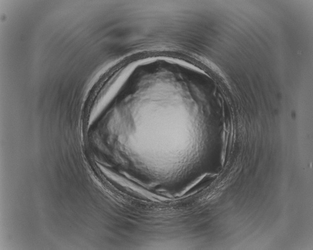 X0000076350935200610161755