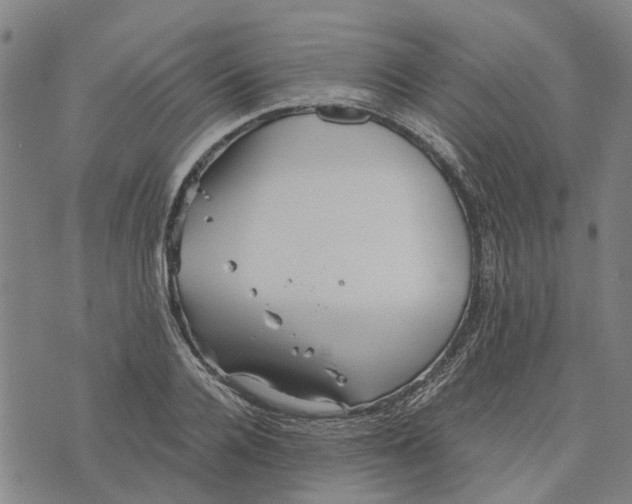 X0000076350936200610161755