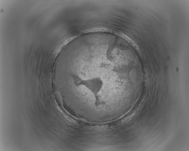 X0000076350937200610161755